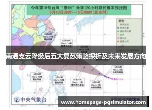 南通支云降级后五大复苏策略探析及未来发展方向