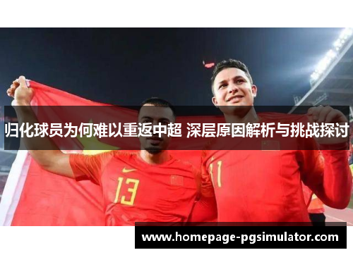 归化球员为何难以重返中超 深层原因解析与挑战探讨