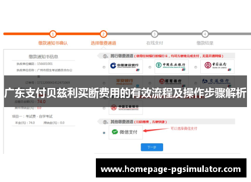 广东支付贝兹利买断费用的有效流程及操作步骤解析