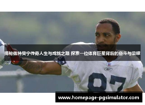 揭秘佩特曼宁传奇人生与成就之路 探索一位体育巨星背后的奋斗与荣耀