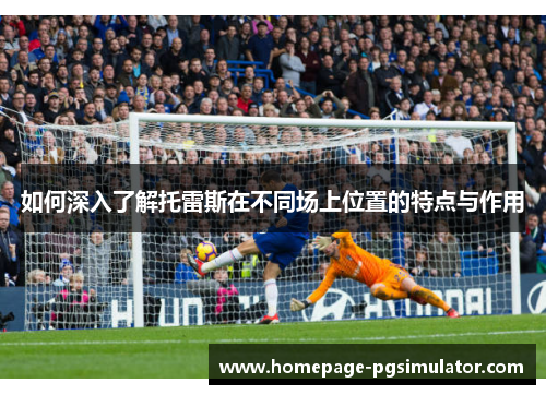 如何深入了解托雷斯在不同场上位置的特点与作用