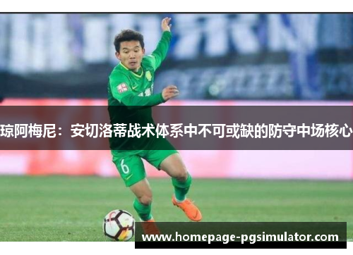 琼阿梅尼：安切洛蒂战术体系中不可或缺的防守中场核心