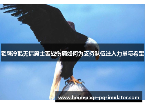 老鹰冷酷无情勇士苦战伤痛如何为支持队伍注入力量与希望