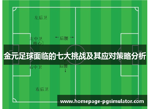 金元足球面临的七大挑战及其应对策略分析