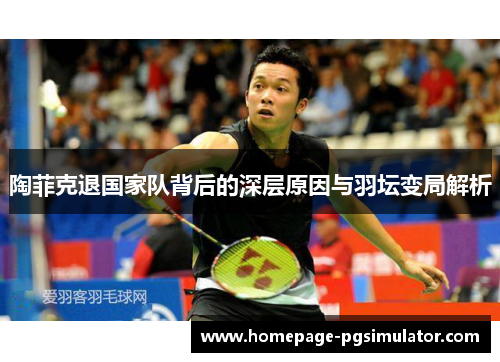 陶菲克退国家队背后的深层原因与羽坛变局解析