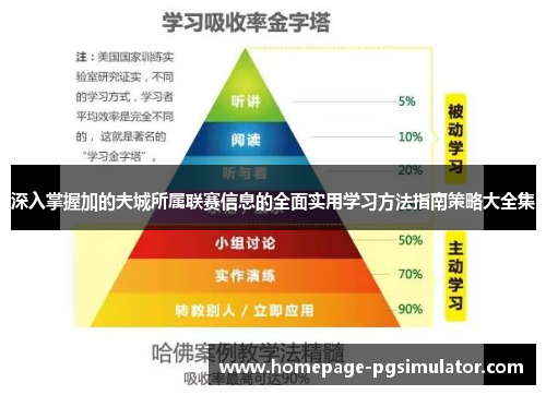 深入掌握加的夫城所属联赛信息的全面实用学习方法指南策略大全集