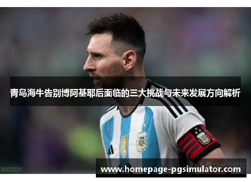 青岛海牛告别博阿基耶后面临的三大挑战与未来发展方向解析