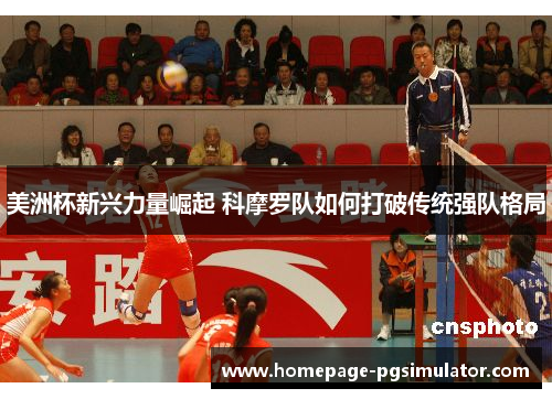 美洲杯新兴力量崛起 科摩罗队如何打破传统强队格局
